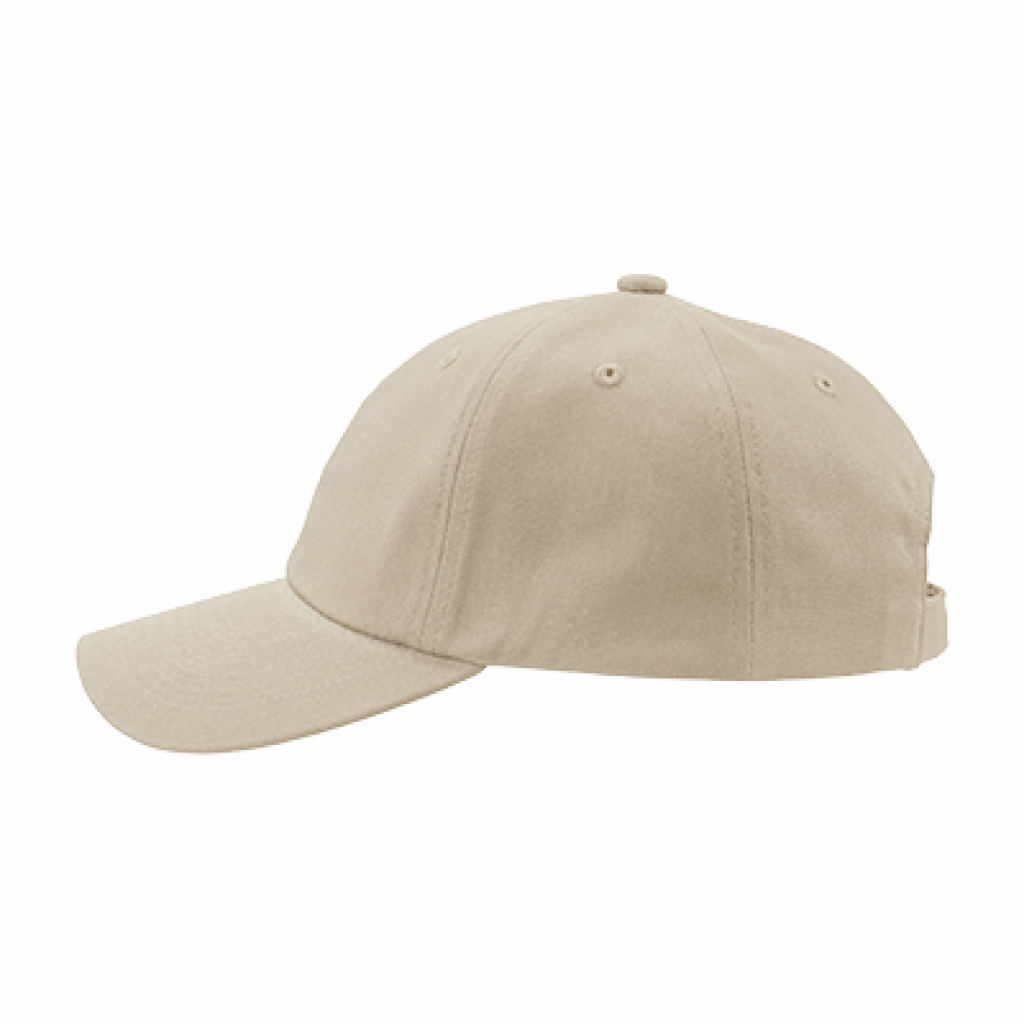 Standard logo cap
