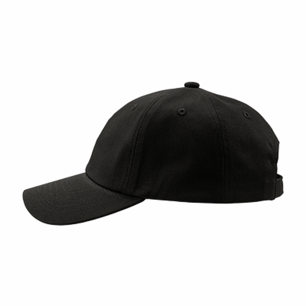 Standard logo cap